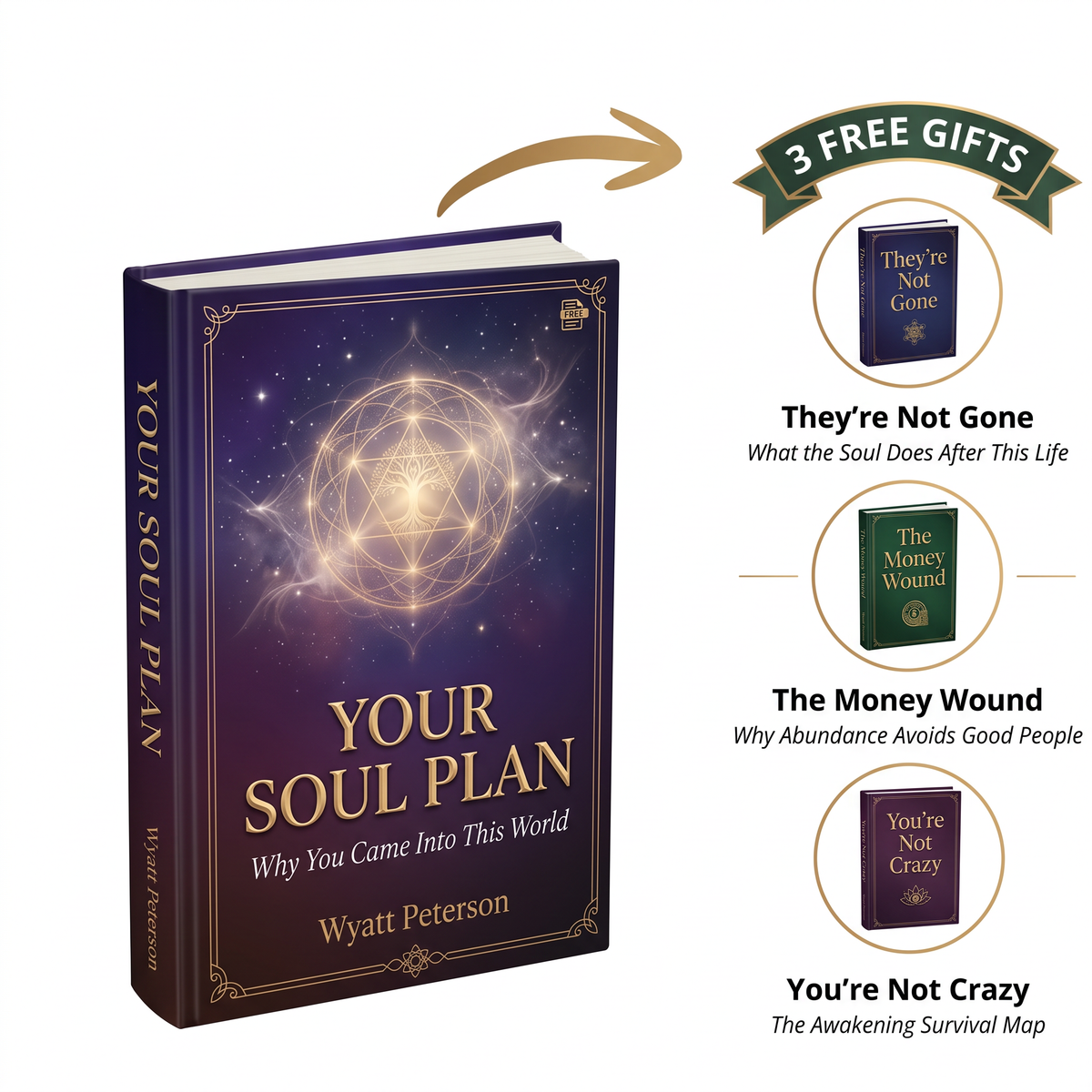 Your Soul Plan: Why You Came Into This World